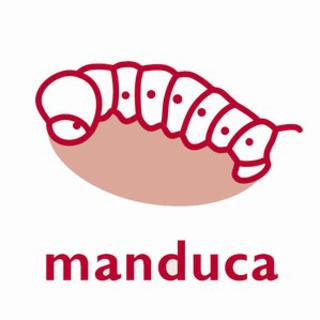 manduca nz