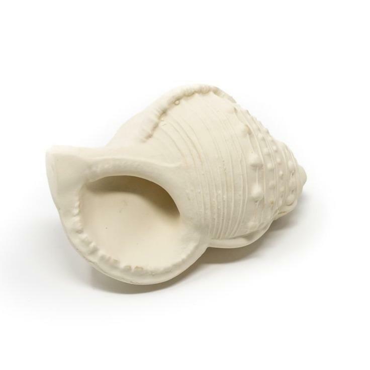 Whelk Shell Toy and Teether