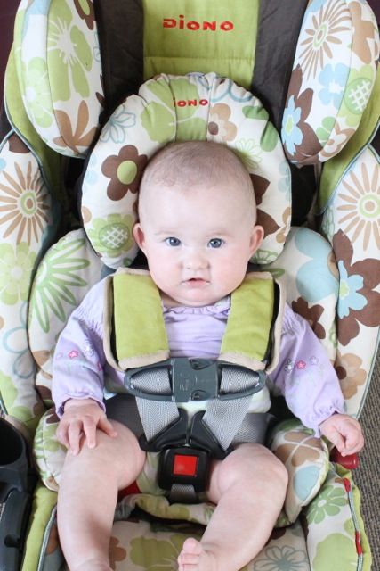 Milla LOVES her new Diono RXT Radian Spring carseat.